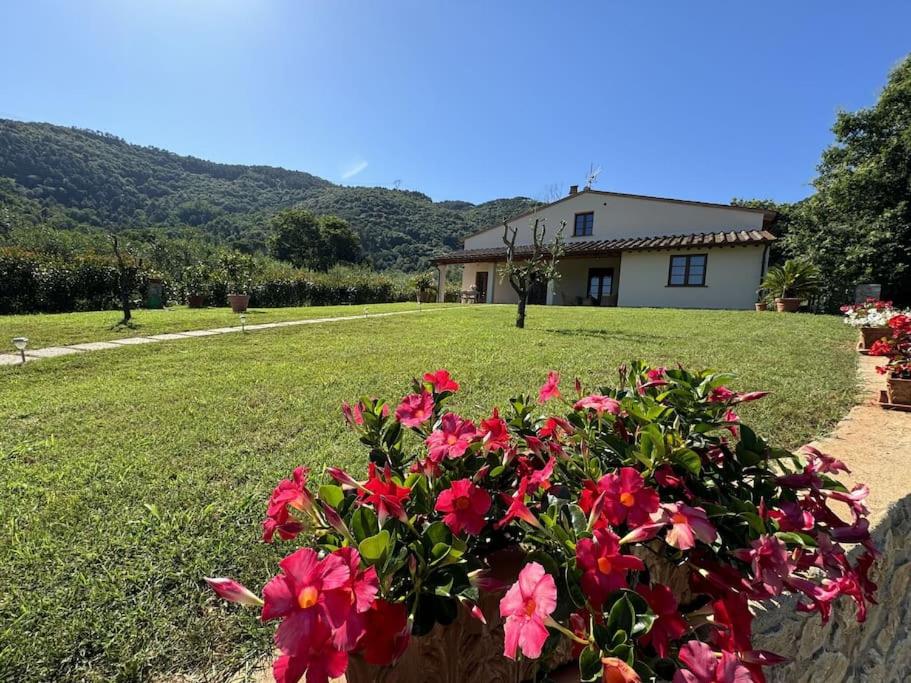 Casa Viviani – Lucca